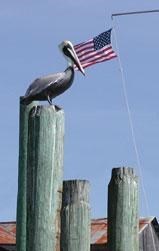 Cape Fear Coast