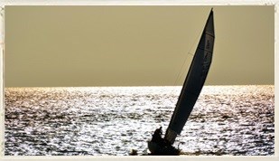 Surf, Kayak and Sail