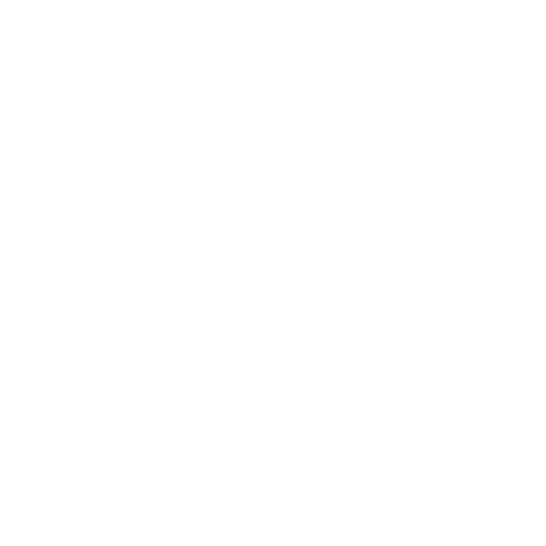 The Qualified Captain