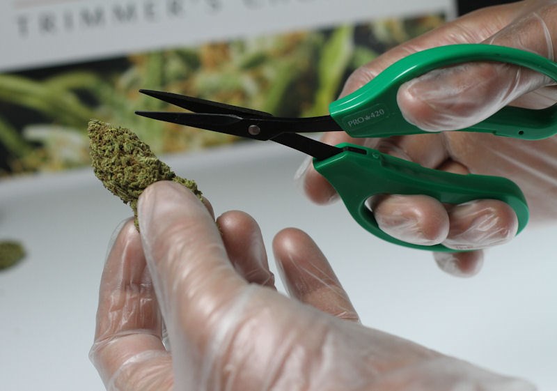 PRO 420 Classic Scissors-Professional grade scissors for trimming plants-Bud Trimming Bonsai Scissors - The finest precision trimming experience.