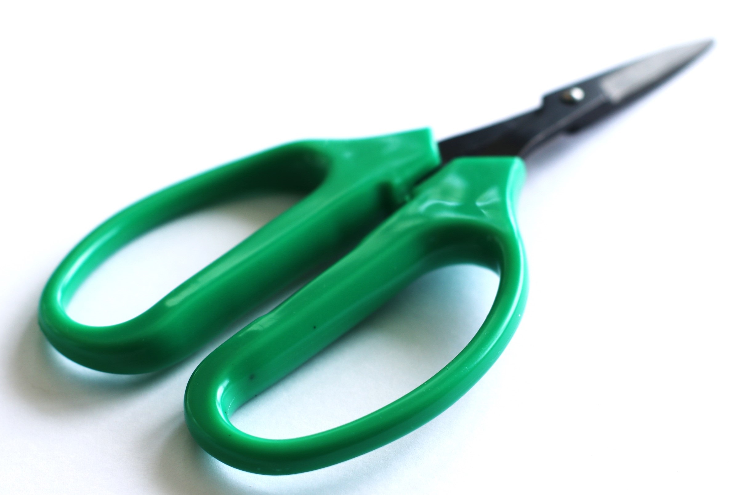 PRO 420 Classic Scissors-  Bonsai Hand Held Trimming Scissors- 2 Packs - Classic Bonsai Scissors