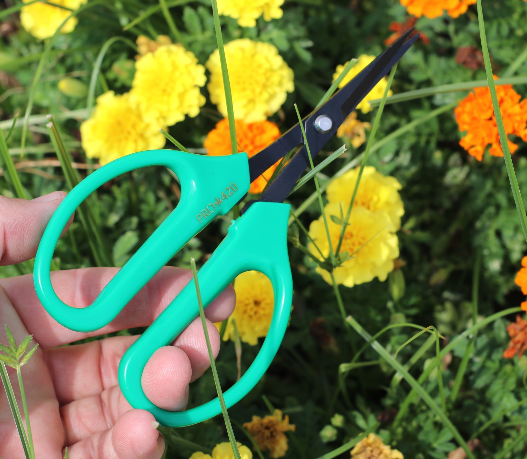 PRO 420 Classic Scissors-Professional grade scissors for trimming plants-Bud Trimming Bonsai Scissors - Classic Bonsai Scissors