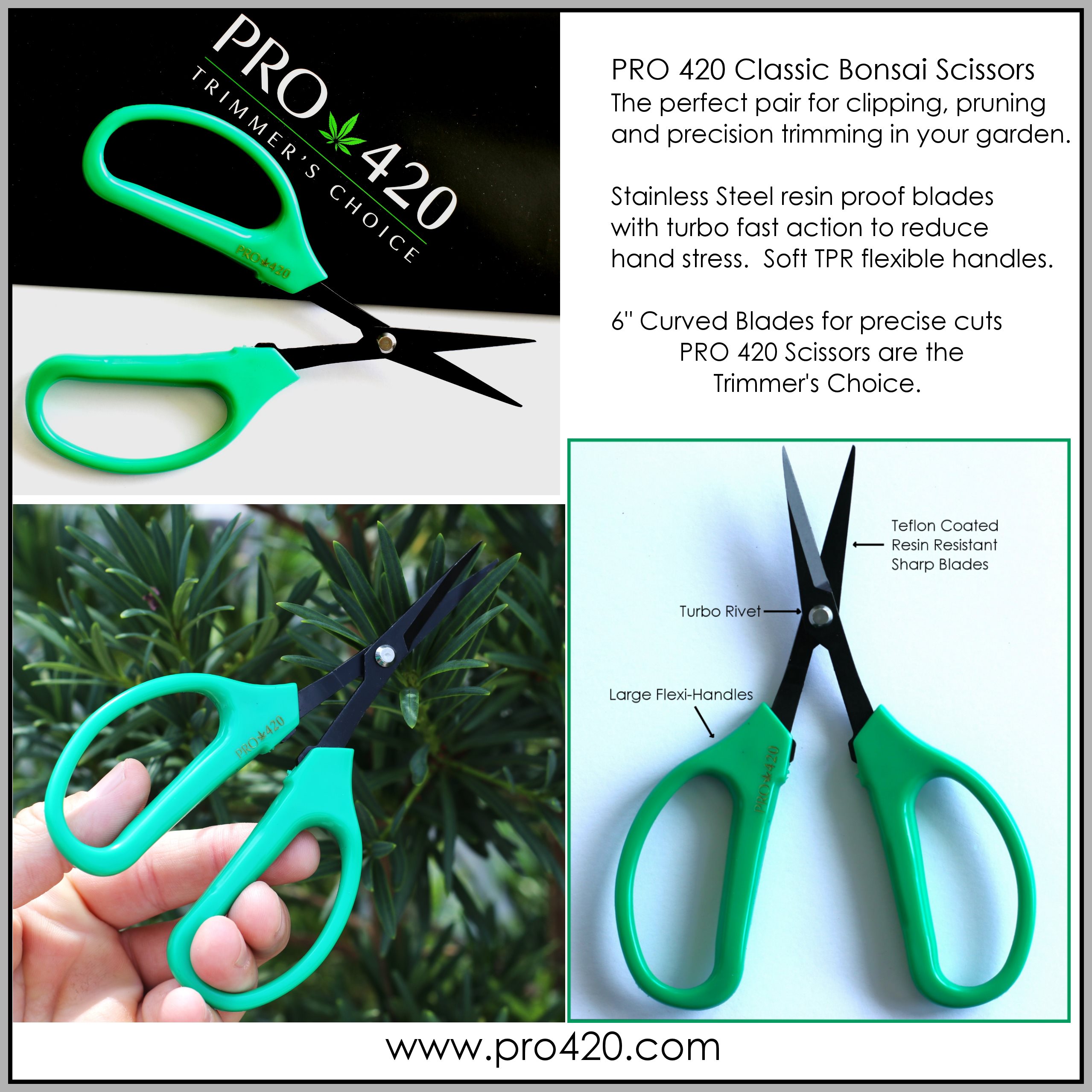PRO 420 Scissors - 6 Pack of Classic Bonsai Professional Trimming Scissors for Cannabis - Classic Bonsai Scissors
