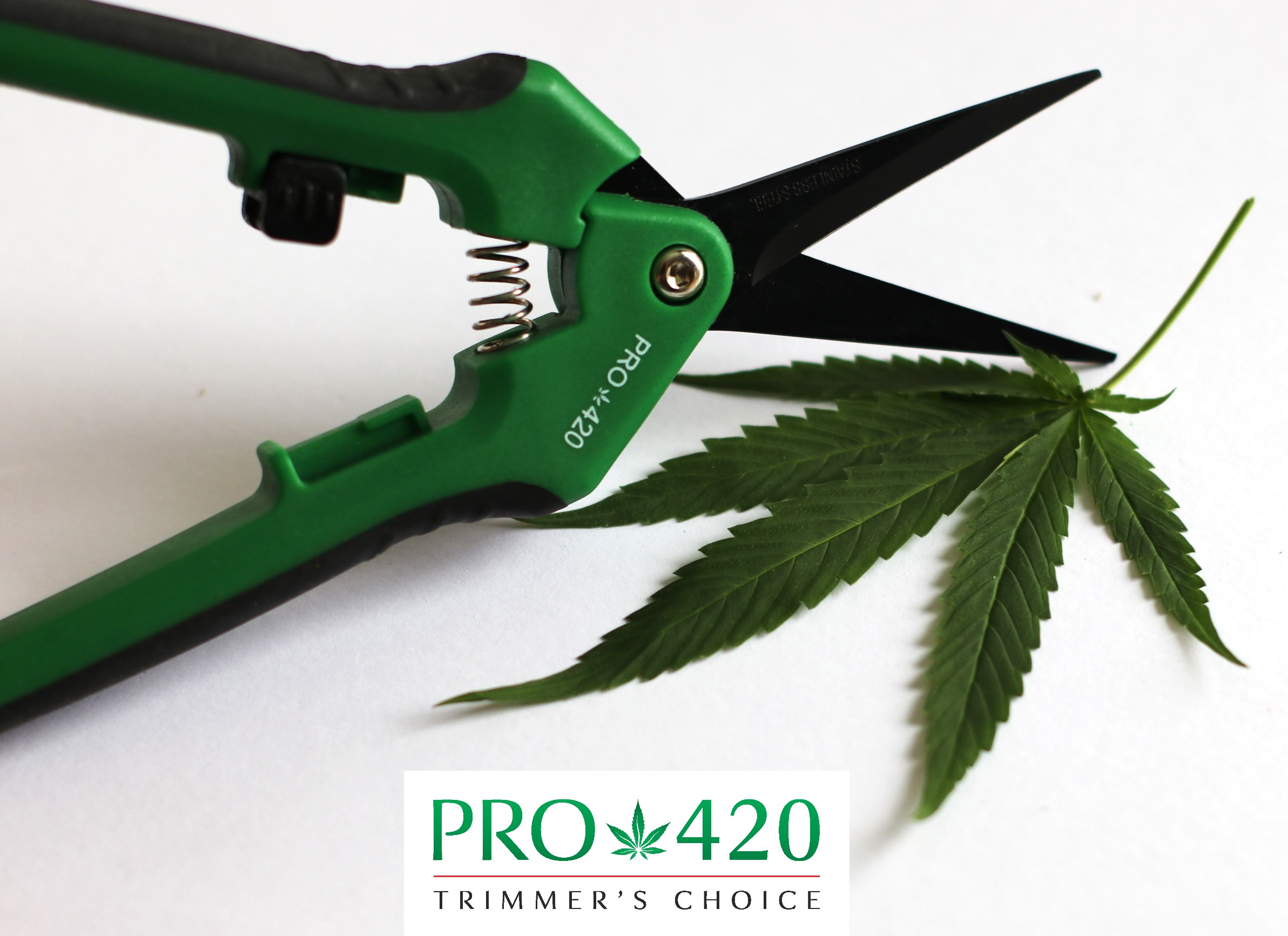 PRO 420 Scissors- 6 pack- Spring Loaded Professional Trimming Scissors for Cannabis - Spring Loaded Scissors