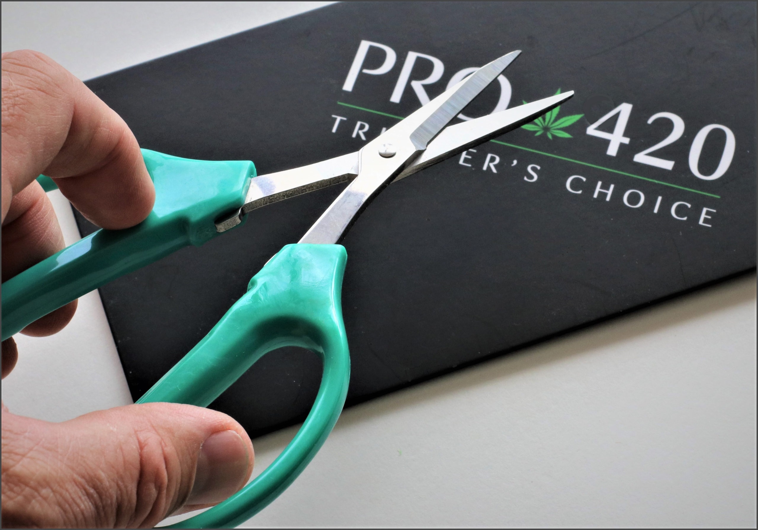 PRO 420 Classic Silver Scissors- 2 Pack- Harvest Scissors- Trim-Manicure-Professional Grade Scissors - IMG_3149