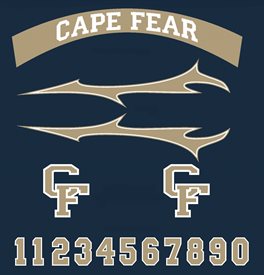 2 color CPV, CPX, CLH2 Premium Helmet Decal Package with lightning stripes