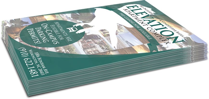 Flyers and Newsletters