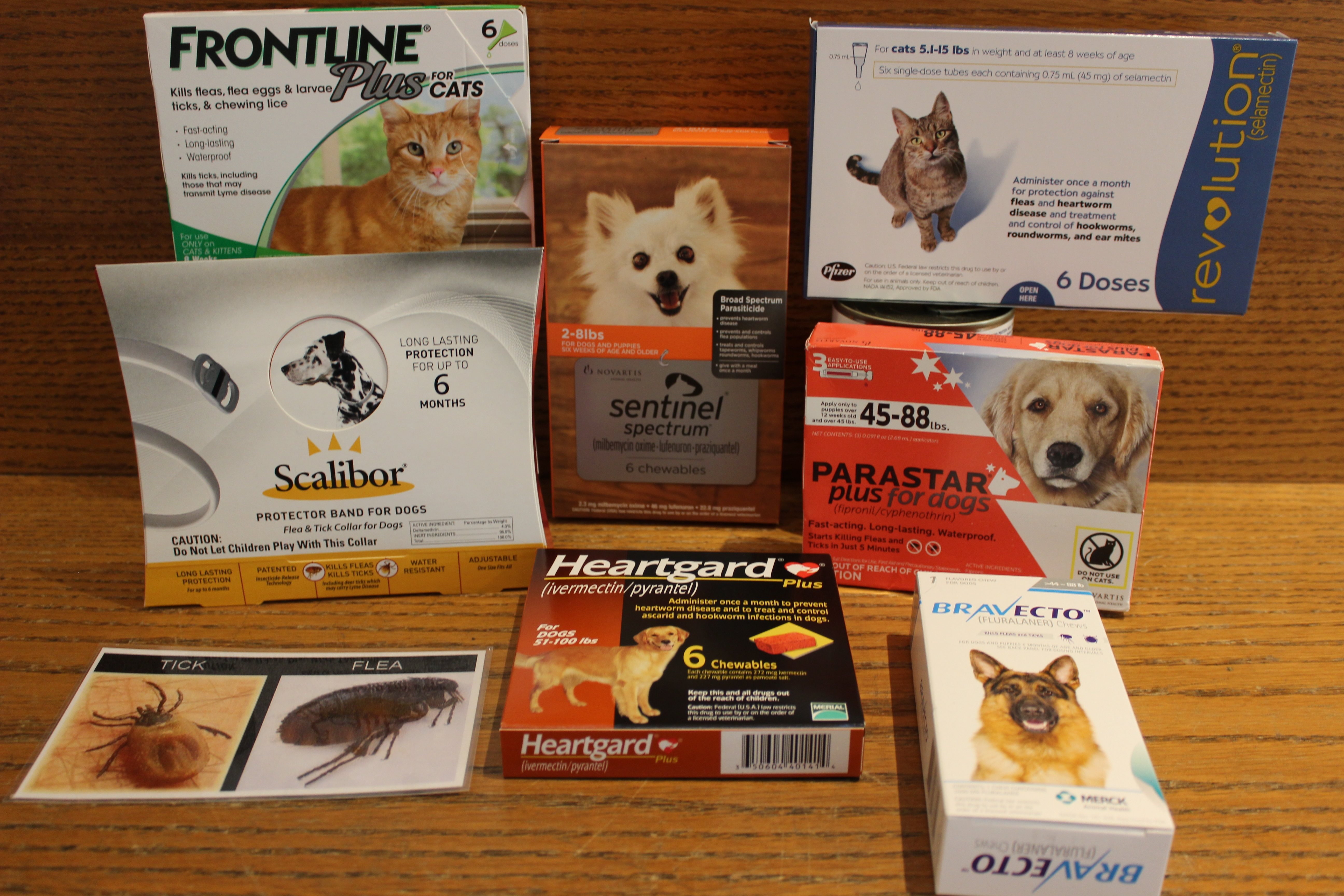 Why should I buy my pet’s preventative products from my veterinarian?