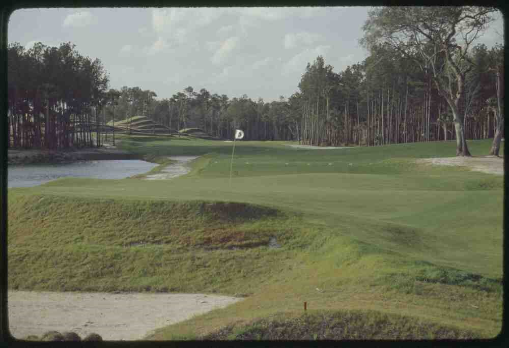 TPC Sawgrass 1981
