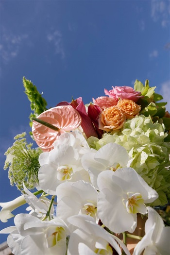 Kiana__Bradys_Wedding_Weekend_Wrightsville_Manor_NC_Wedding_Photographers_0523.jpg